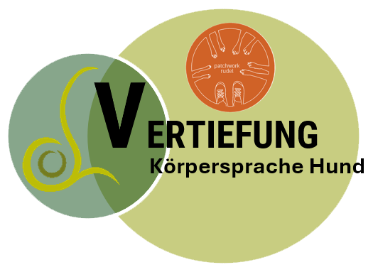 Vertiefung Körpersprache Hund