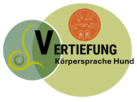 Vertiefung Körpersprache Hund