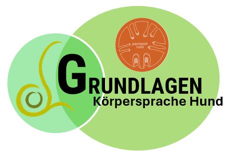 Grundlagen Körpersprache Hund
