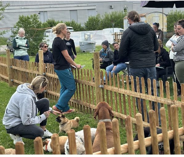 MATSH.ch Workshops
