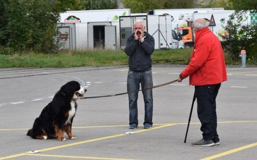 Hunde-Trainerausbildung MATSH.ch