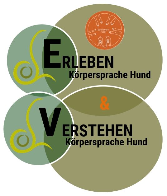 Grundlagen Körpersprache Hund